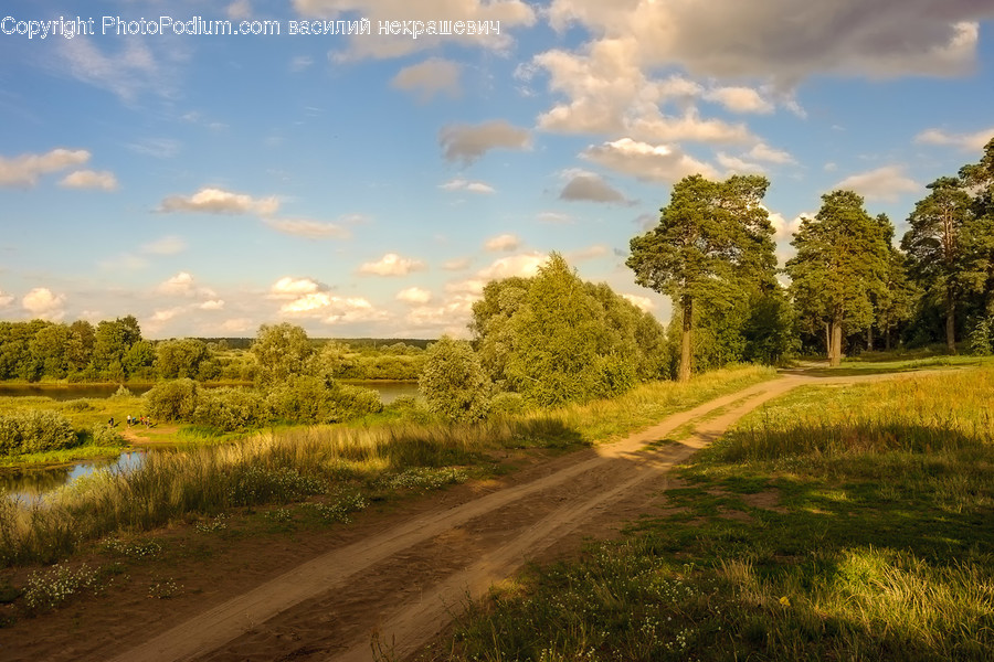 Nature, Outdoors, Road, Dirt Road, Gravel