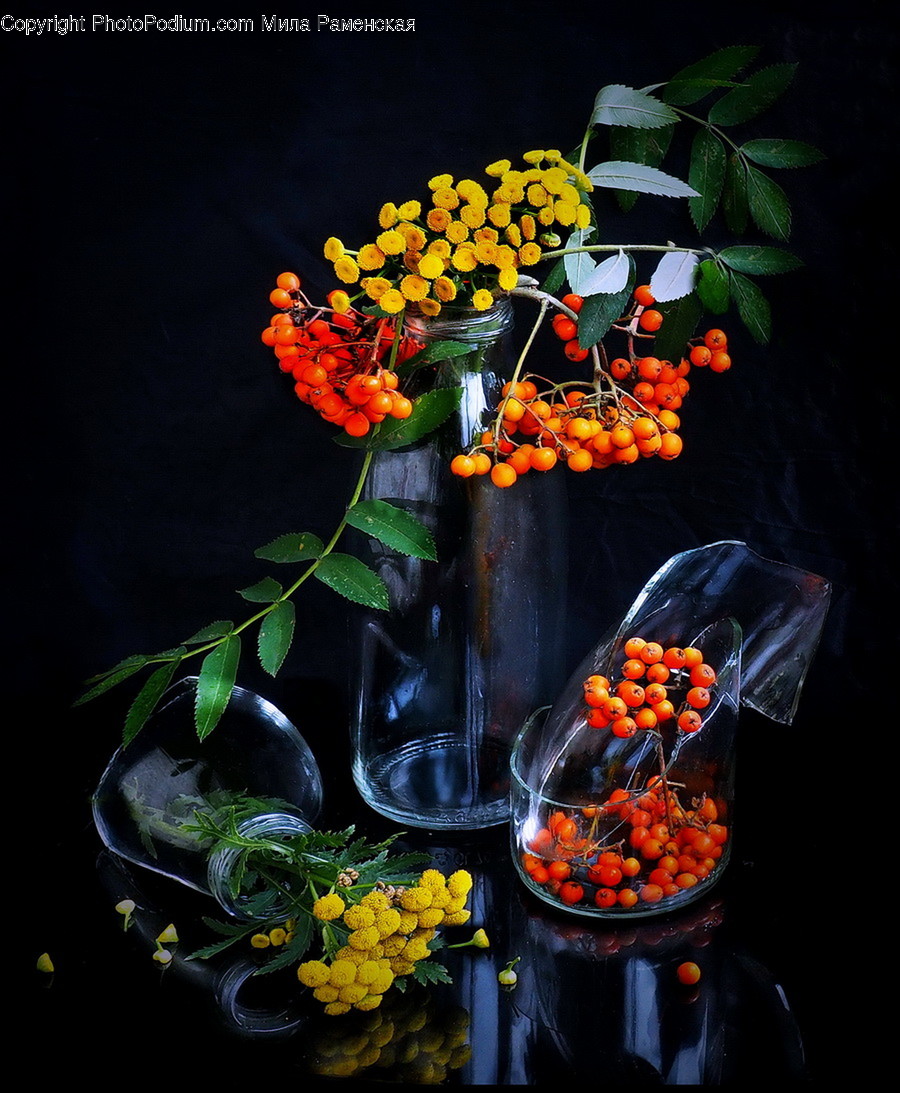 Plant, Blossom, Flower, Flower Arrangement, Flower Bouquet