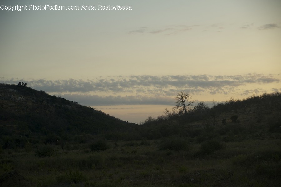 Nature, Outdoors, Field, Grassland, Countryside