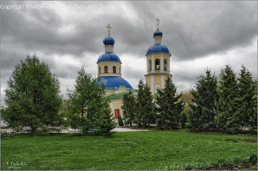 Architecture, Dome, Building, Plant, Tree