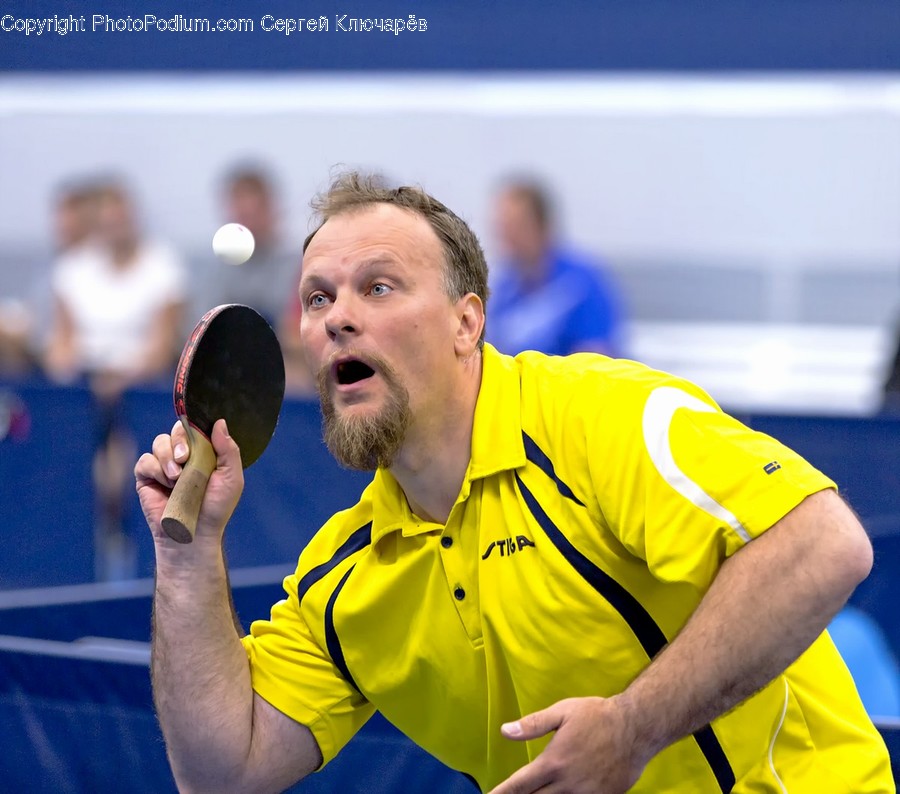 Human, Person, Sport, Sports, Ping Pong