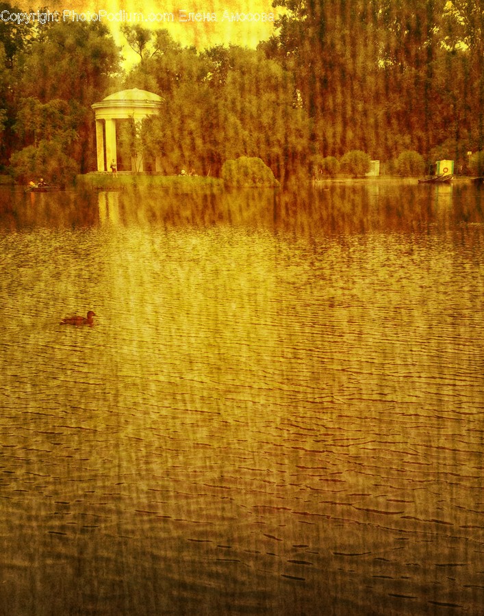 Outdoors, Water, Nature, Rug, Light