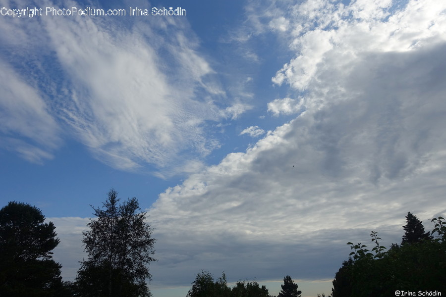 Nature, Outdoors, Weather, Cumulus, Sky