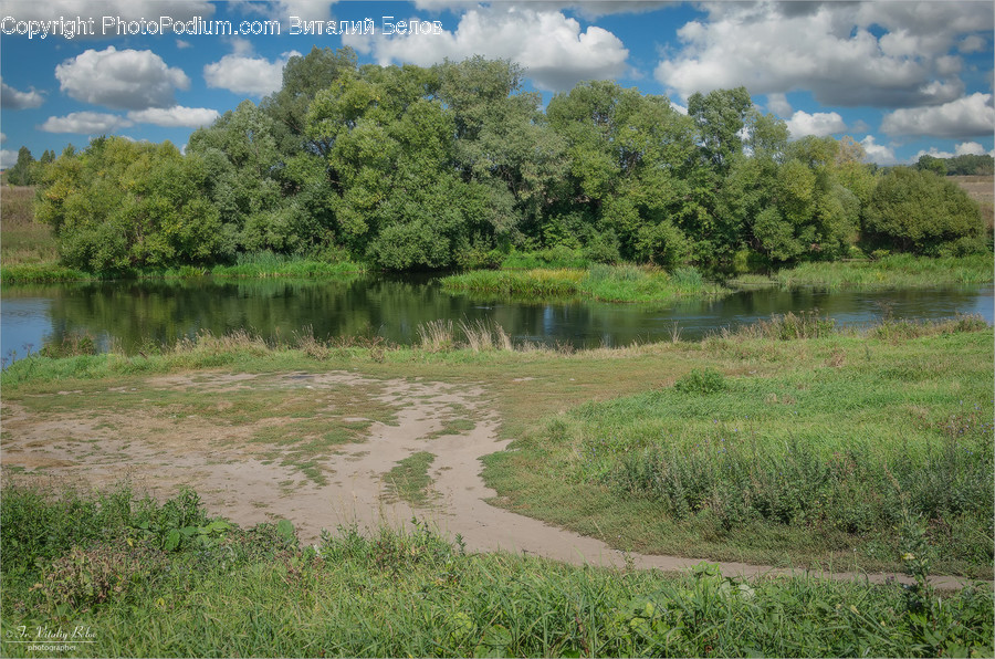 Outdoors, Land, Nature, Water, Plant