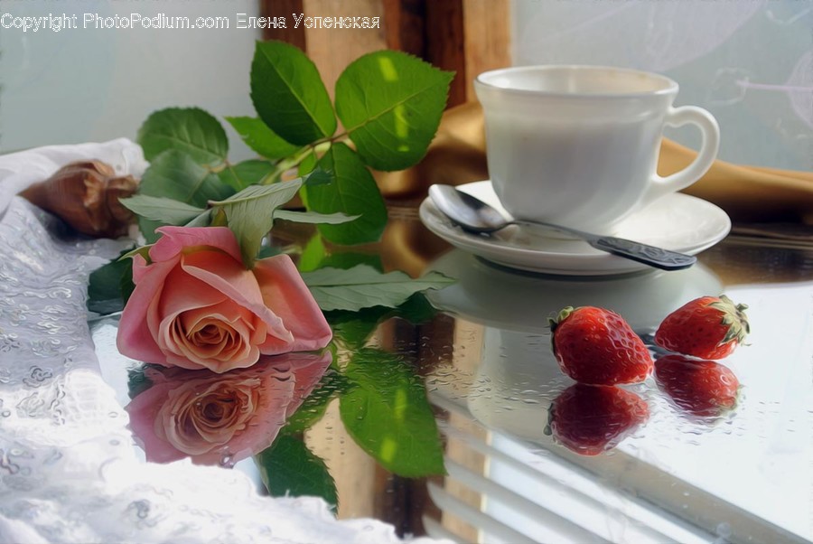 Plant, Spoon, Cutlery, Saucer, Pottery