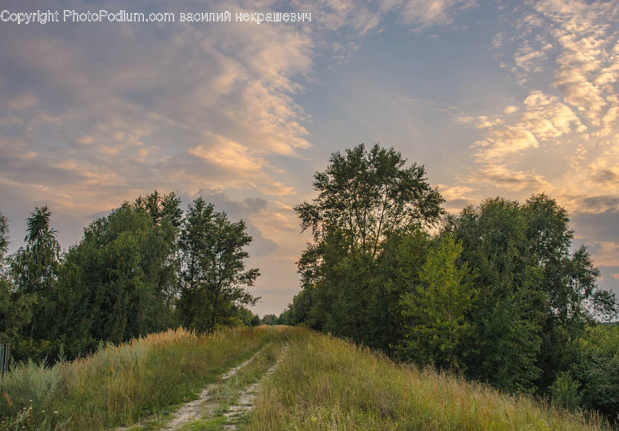 Nature, Outdoors, Gravel, Dirt Road, Road