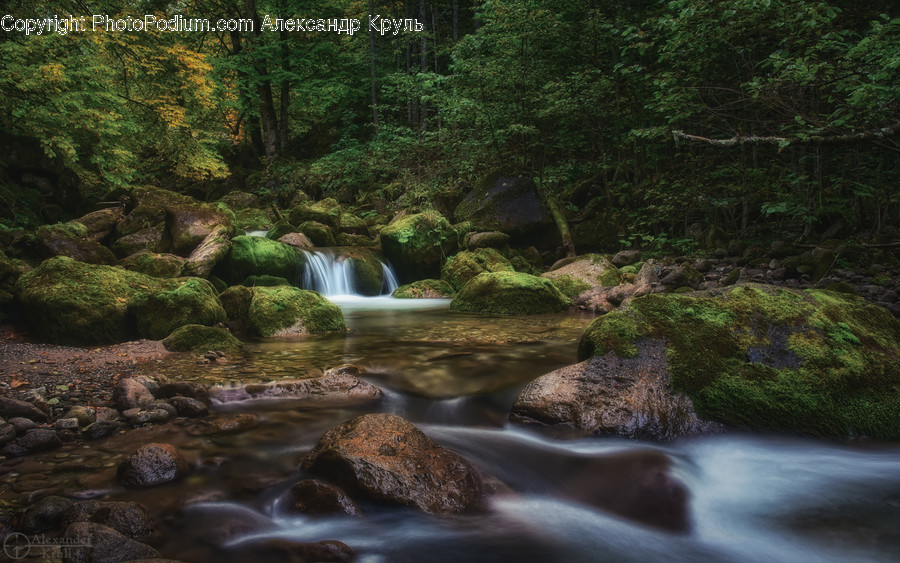 Water, Nature, Outdoors, Stream, Creek