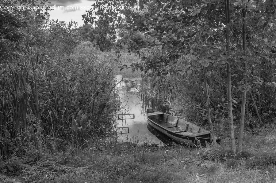 Transportation, Vehicle, Boat, Rowboat, Vessel