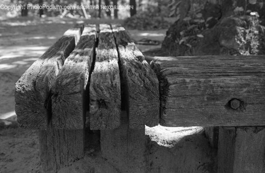 Wood, Furniture, Bench, Plant, Tree