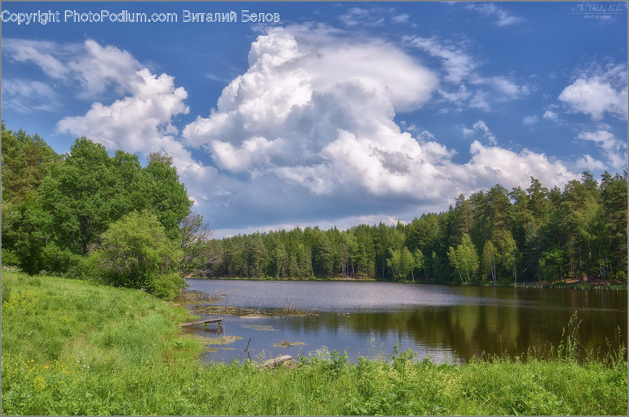 Weather, Nature, Cumulus, Sky, Cloud