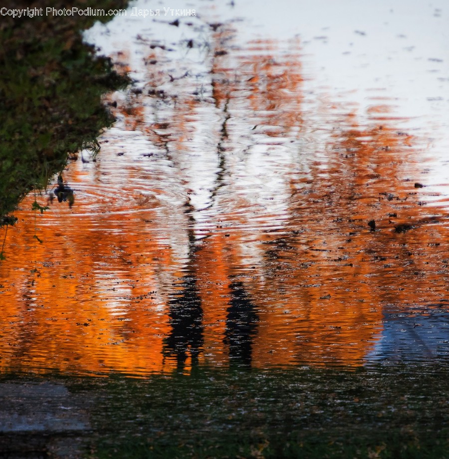 Water, Outdoors, Puddle, Ripple, Land