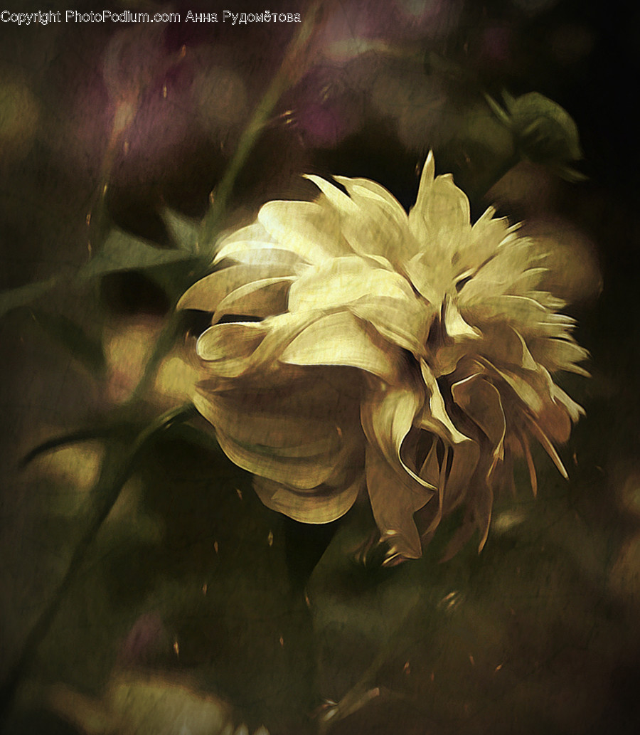 Plant, Art, Painting, Blossom, Flower