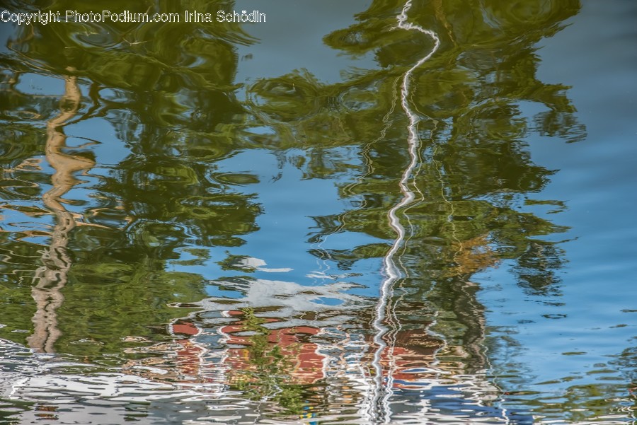 Water, Outdoors, Ripple, Animal, Bird