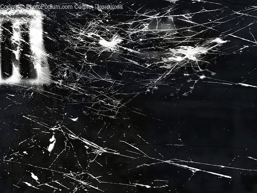 Spider Web, Animal, Invertebrate, Spider, Arachnid