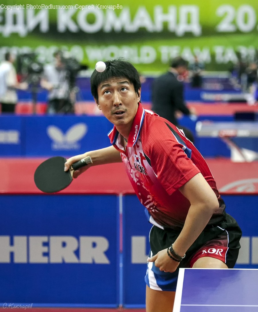 Human, Person, Sport, Sports, Ping Pong