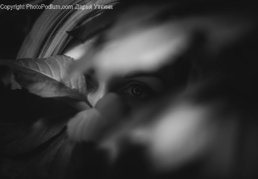 Human, Face, Person, Finger, Head