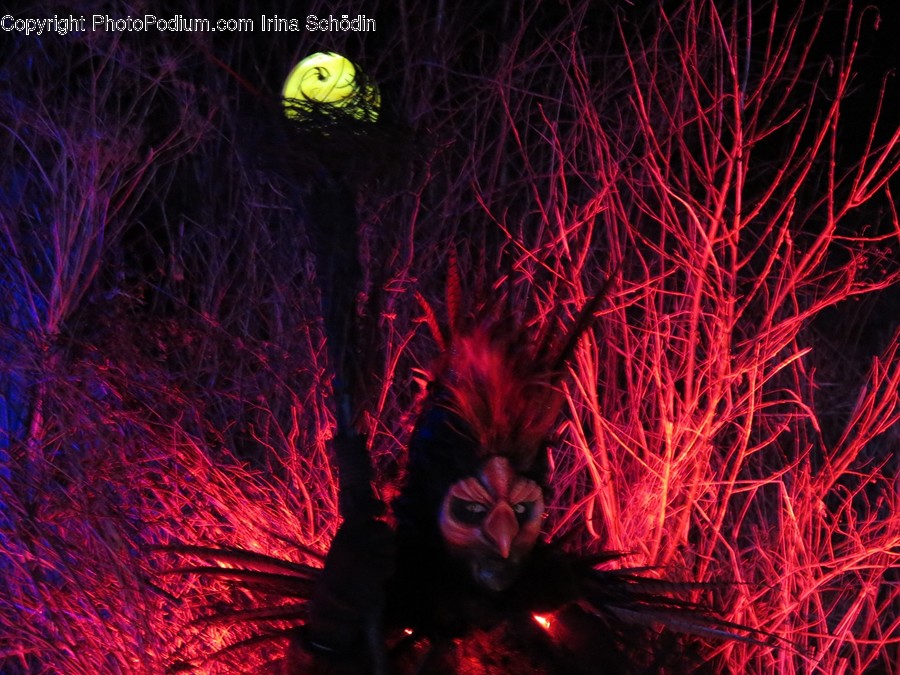 Lighting, Crowd, Festival, Light, Costume