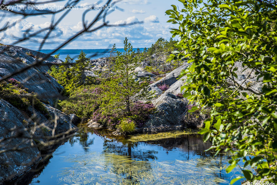Water, Nature, Outdoors, Land, Tree