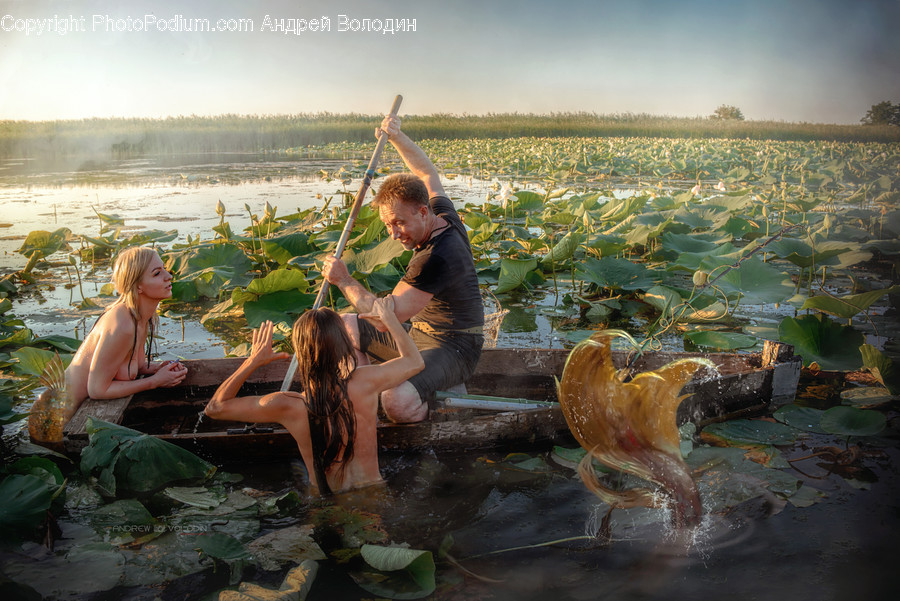 Human, Person, Outdoors, Plant, Water