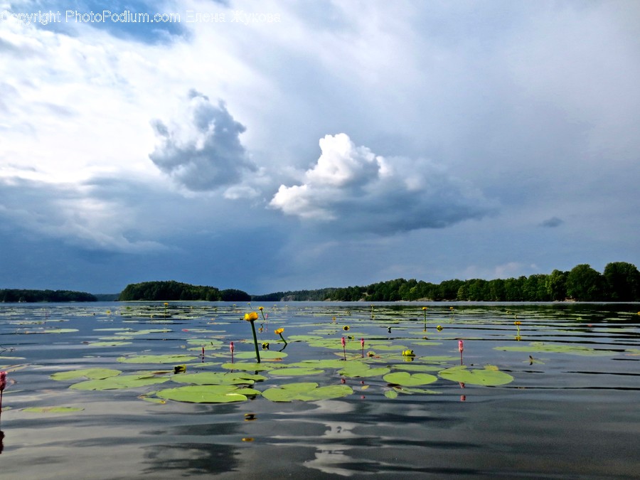 Land, Nature, Outdoors, Water, Ocean