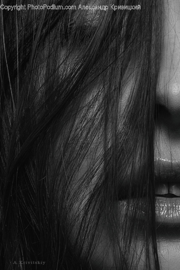 Face, Horse, Animal, Mammal, Lip