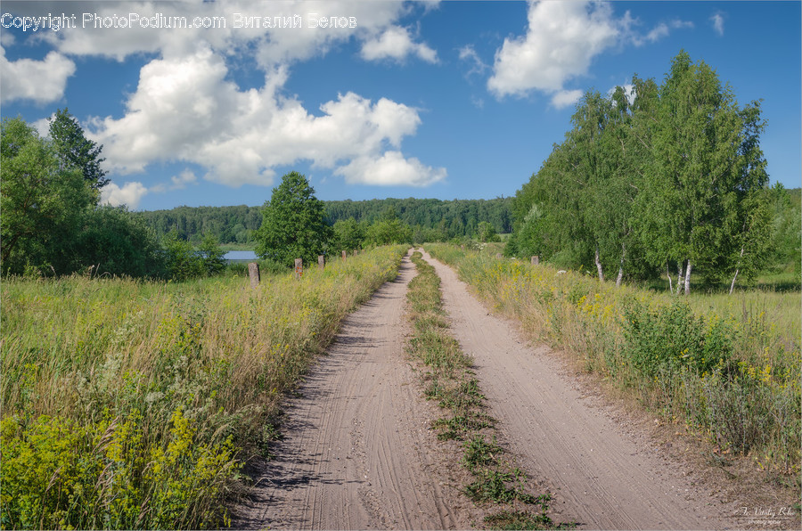 Nature, Outdoors, Road, Path, Countryside