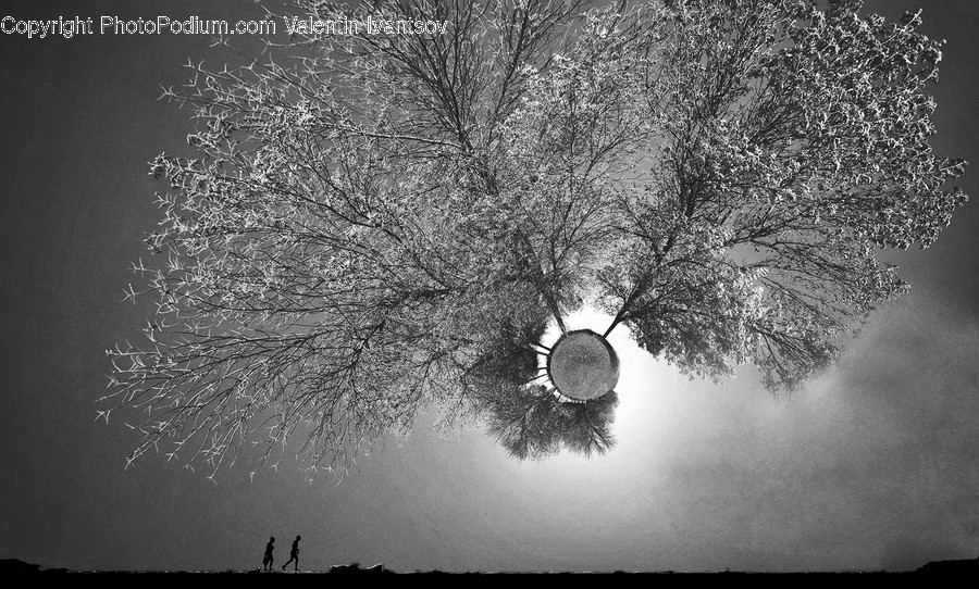 Nature, Outdoors, Weather, Human, Person