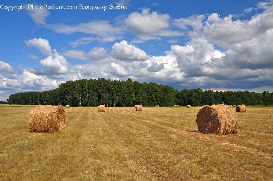 Nature, Outdoors, Countryside, Hay, Straw
