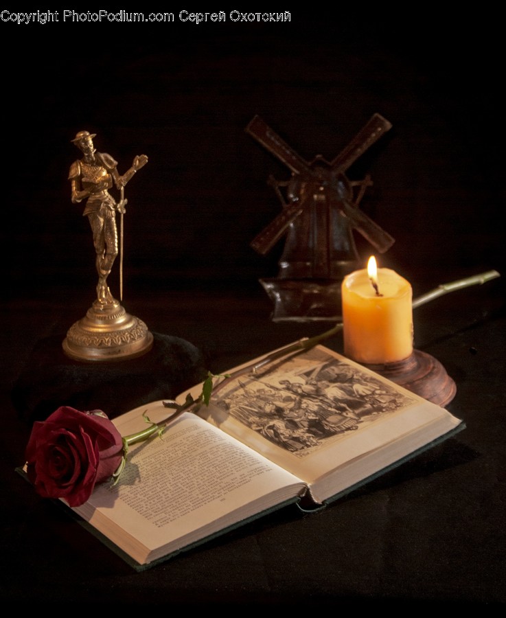 Candle, Plant, Flower, Blossom, Rose