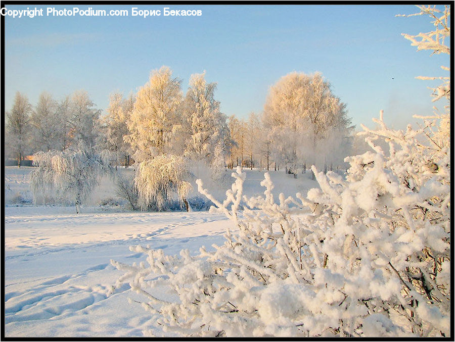 Frost, Ice, Outdoors, Snow, Landscape, Nature, Scenery