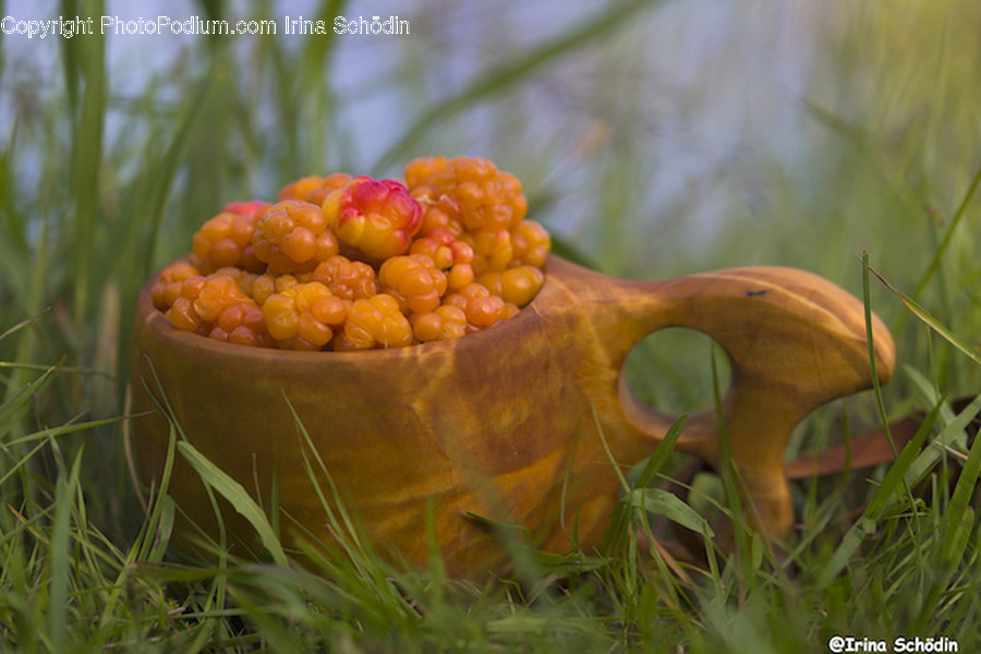Plant, Produce, Food, Outdoors, Vegetable