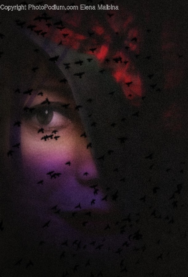 Invertebrate, Animal, Insect, Firefly, Person