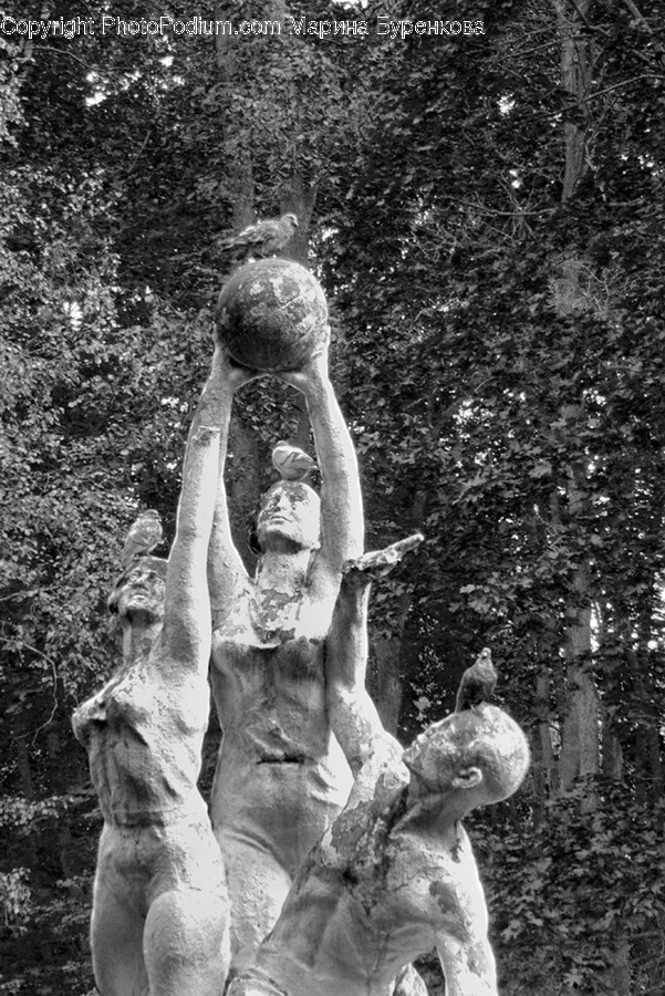 Art, Sculpture, Statue, Water, Animal