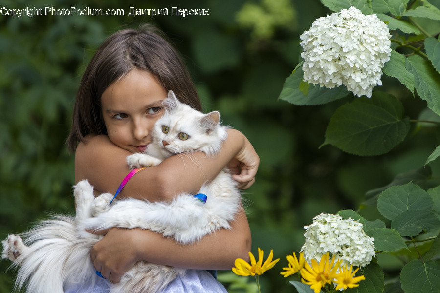 Plant, Human, Person, Animal, Pet