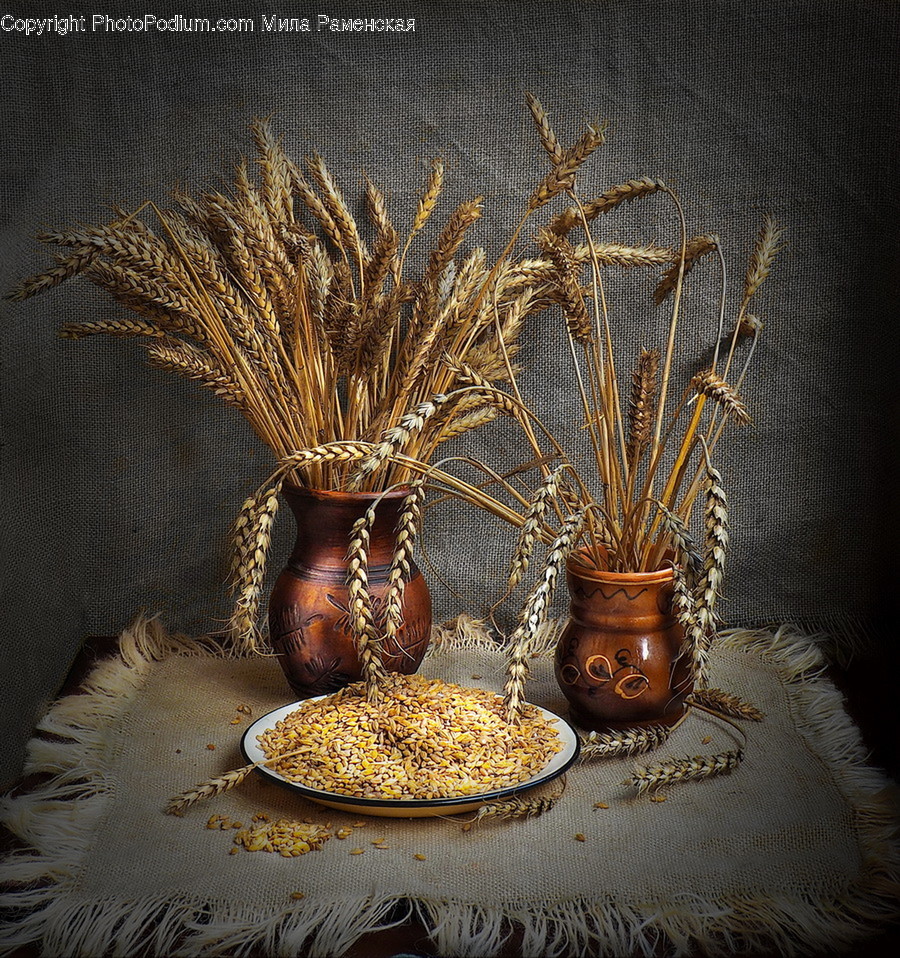 Plant, Bronze, Jar, Furniture, Pottery