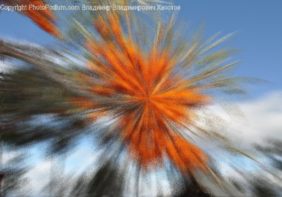 Ornament, Dye, Pattern, Fractal, Painting