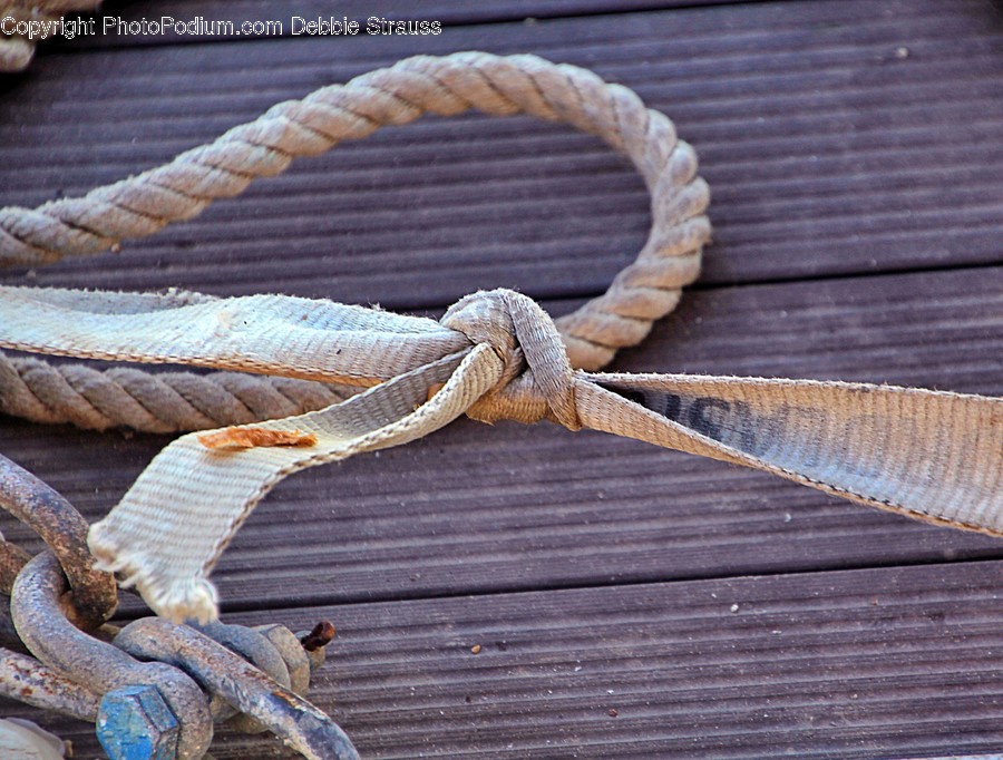Snake, Animal, Reptile, Knot