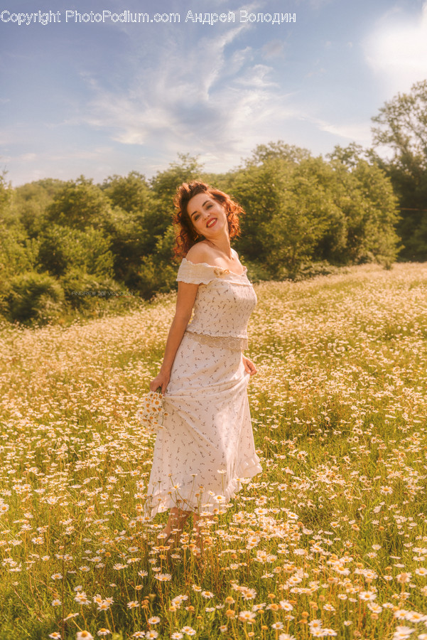 Apparel, Clothing, Gown, Fashion, Evening Dress