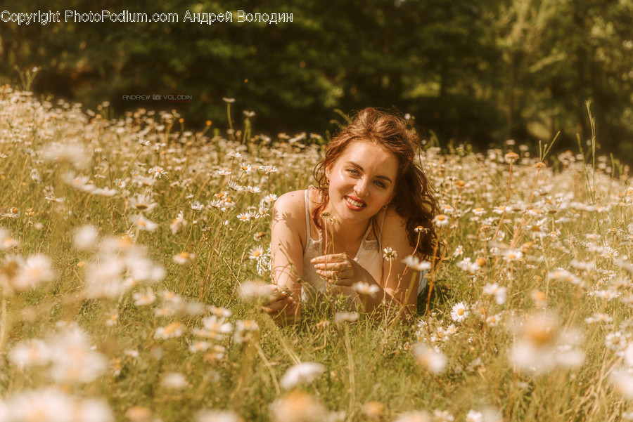 Plant, Person, Human, Grass, Flower