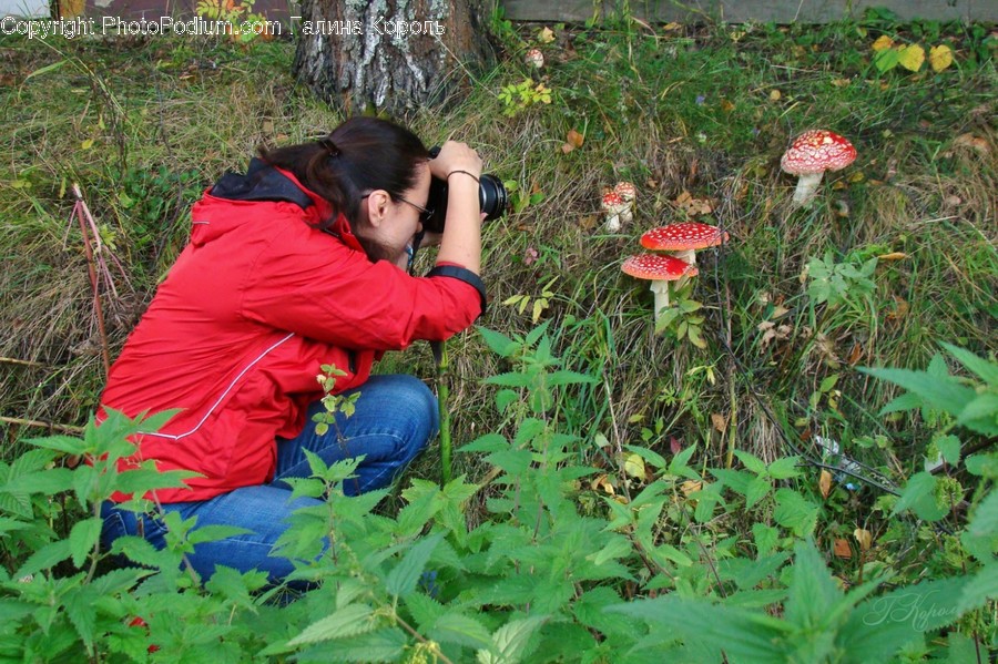 Person, Human, Photo, Photography, Plant