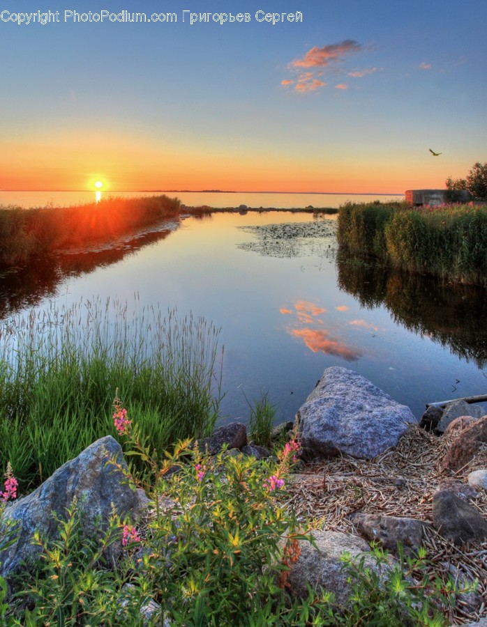 Nature, Outdoors, Land, Water, Grass