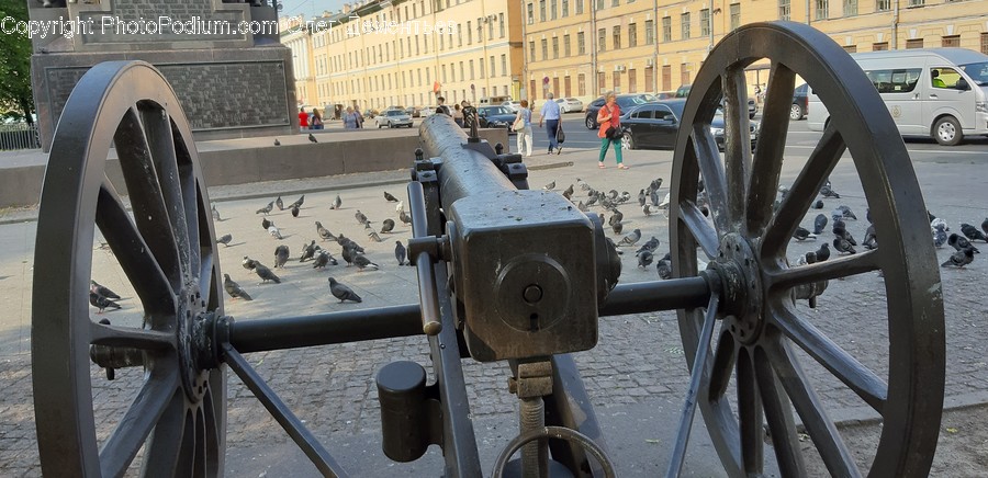 Person, Human, Bird, Animal, Vehicle