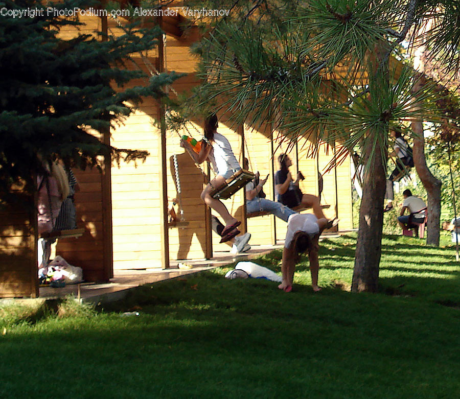 Plant, Grass, Person, Human, Outdoors