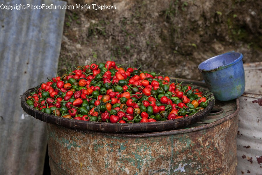 Plant, Bucket, Food, Fruit, Cherry