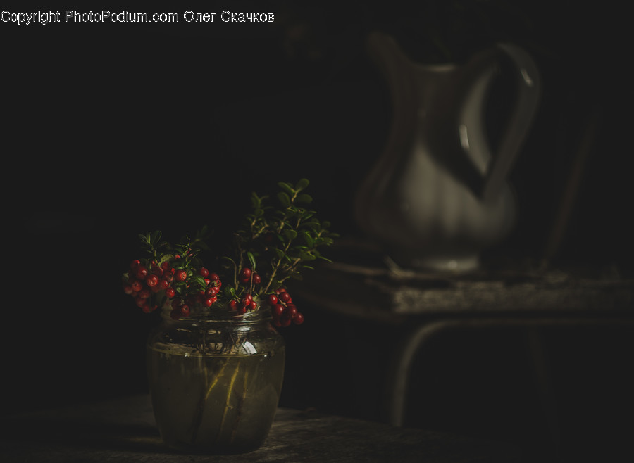 Plant, Pottery, Pot, Flower, Blossom