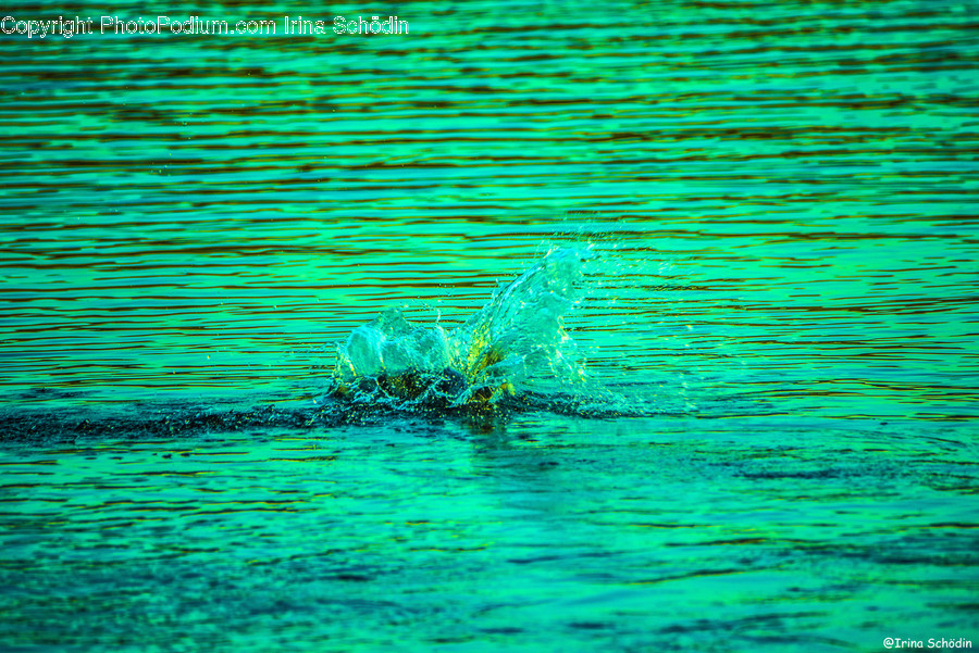 Water, Outdoors, Ripple, Nature, River