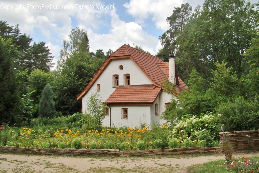 Roof, Housing, House, Cottage, Building