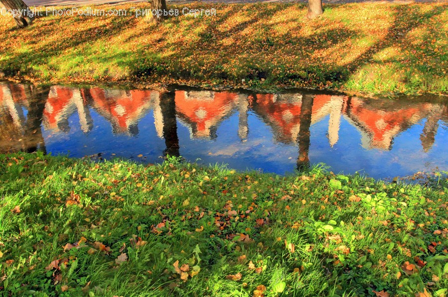 Nature, Outdoors, Land, Water, Plant