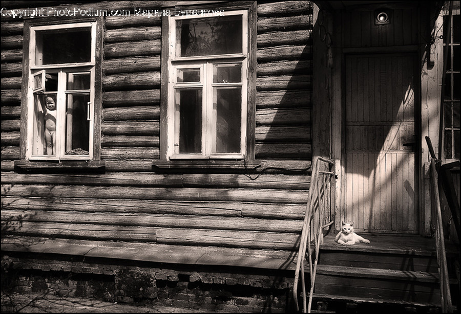 Home Decor, Window, Outdoors, Nature, Housing