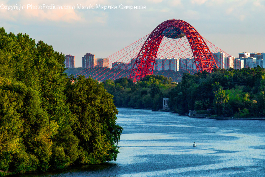 Amusement Park, Theme Park, Building, Bridge, Ferris Wheel